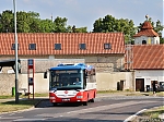 4546_28229.jpg
