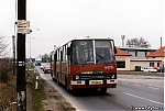 4579.jpg