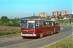 4589.jpg