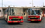 5116.jpg