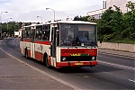 5228.jpg
