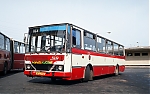 5232.jpg