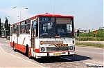 5246.jpg