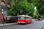 53.jpg