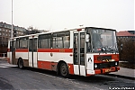 5335.jpg