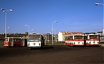 5346.jpg