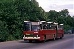 5384.jpg