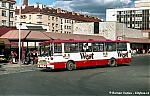 5431.jpg