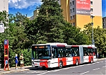 5517a.jpg