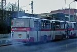 5525~0.jpg