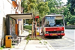 5534.jpg