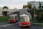 5716.jpg