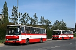 Název souboru=5868.jpg
Velikost souboru=1051KB
Rozměry=1400x916
Datum přidání=18. Březen 2020 5868.jpg