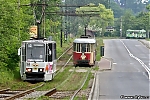 590.jpg