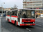 5902.jpg