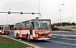 5928.jpg