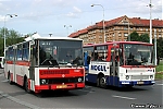 5937.jpg
