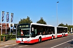 5999.jpg