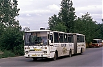 6003.jpg