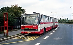 6005.jpg