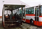 6013.jpg
