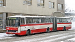 6013~0.jpg
