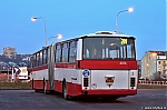 6016.jpg