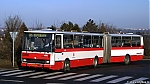 6018.jpg