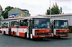 6028.jpg