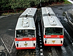 6046.jpg
