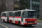 6090.jpg
