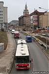 6141.jpg