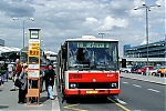 6149.jpg
