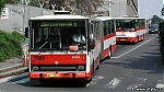 6166-2.jpg