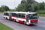 6170.jpg