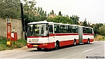 6232.jpg