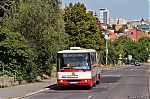 6236.jpg