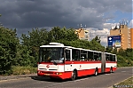 6244.jpg