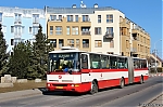6244~0.jpg
