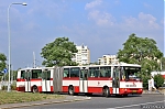 6250~1.jpg