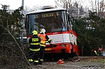 6251.jpg