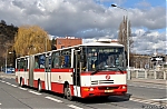 6256.jpg
