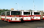 6269.jpg