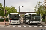 6279.jpg