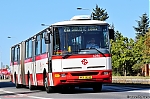 6286.jpg