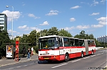 6300.jpg