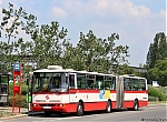 6349.jpg