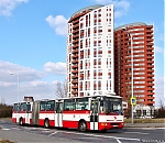 6359.jpg