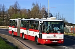 6366.jpg