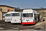 6402.jpg